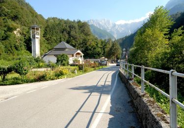 Trail On foot Moggio Udinese - IT-743 - Photo