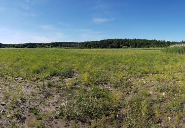 Tocht Te voet Gemeinde Pölla - Teichwanderweg Nr. 51 - Photo