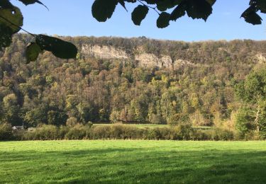 Trail Walking Esneux - Boucle de l’Ourthe  - Photo
