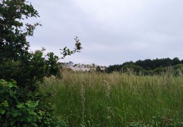 Randonnée Marche Plœmeur - Tour le Lomener - Photo