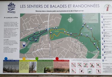 Tour Wandern Étaples - 8kForetEtaples - Photo