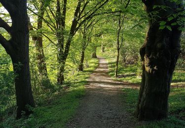 Trail On foot Dersau - Rundweg Dersauer Uklei - Photo