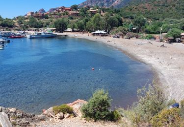 Tour Wandern Osani - girolata 2 - Photo