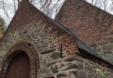 Percorso Marcia Braine-le-Château - Braine-le-Château, nord - Photo