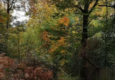 Excursión Bici de montaña Yvoir - GODINNE  ... d'un versant à l'autre ! - Photo