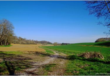 Tocht Elektrische fiets Pont-Sainte-Maxence - vers le mont Pagnotte - Photo