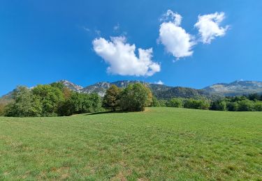 Tocht Stappen Aillon-le-Vieux - col colombier - Photo