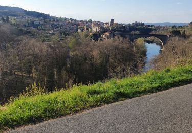 Excursión Bici de montaña Brioude - promenade avec canette - Photo