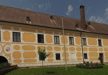 Percorso A piedi Gemeinde Großschönau - Wünschelrutenweg - Photo