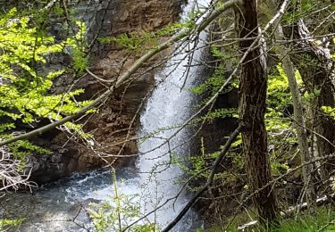 Tour Wandern Allos - lac d allos - Photo