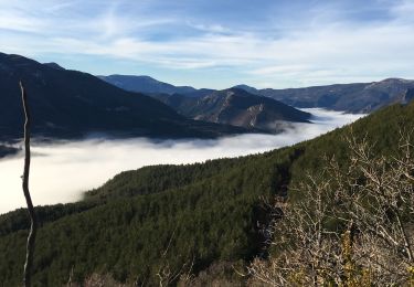 Tocht Stappen Aucelon - Col de Pennes  - Photo