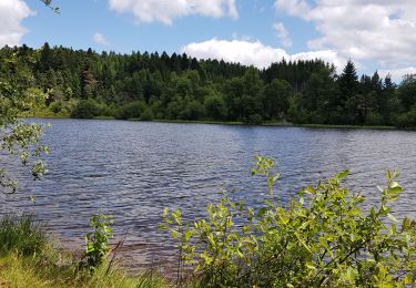 Trail Bicycle tourism Saint-Bonnet-le-Bourg - 63 St Bonnet le Bourg - St Germain l herm  -etang de la Colombiere- Fournols et retour - Photo