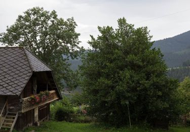 Excursión A pie Fischbach - Wanderweg 16 - Photo