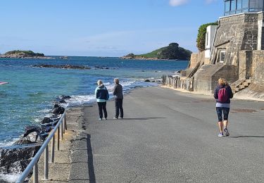 Tour Wandern Carantec - carantec grève blanche - Photo