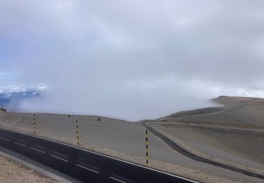 Tour Pfad Bédoin - Ventoux par Ansis-FioleTête de la Grave-Mélèzes(31K2000D+) - Photo