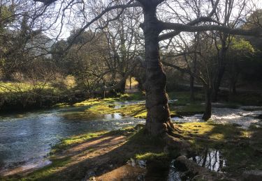 Tour Wandern Pégairolles-de-Buèges - Cirque de la Seranne - Pegairolles-de-Buèges - Photo