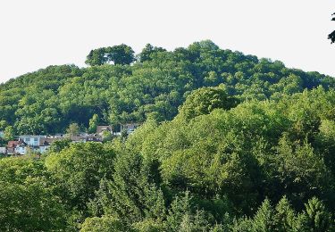 Tocht Te voet Göppingen - Göppingen-Hörnle - Photo