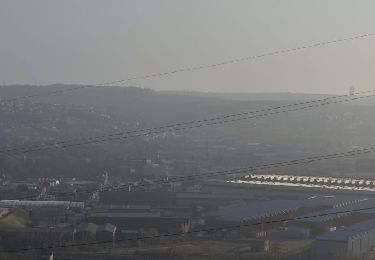 Randonnée Marche Liège - 20220328 - Cointe Terril Piron 3.4 Km - Photo