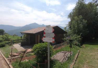 Percorso A piedi Val Brembilla - Sentiero 505A: Zogno - Tiglio - S. Antonio Abbandonato - Castignola - Photo