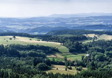 Tocht Te voet  - Ścieżka Edukacyjna im. inż. Kazimierza Klimowicza - Photo