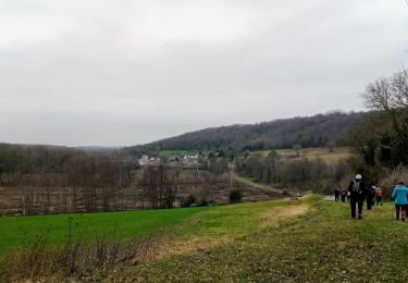 Trail Walking Bouresches - Bouresches du 03-02-2022 - Photo