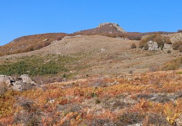 Tour Wandern Cambia - San Pétrone boucle de Loriani - Photo