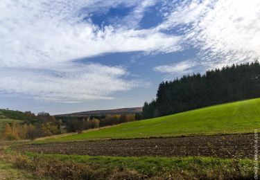 Tour Zu Fuß Schillingen - Schillinger Panoramaweg - Photo