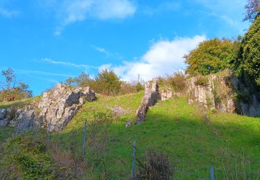 Tour Wandern Modave - modave - clavier station, retour par la ligne 126 - Photo