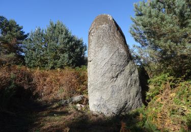 Tour Zu Fuß Saissac - Entre château et Rigole - Photo