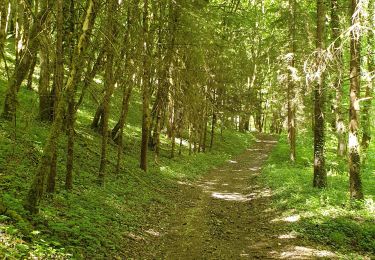 Randonnée Marche Chaumont - Chaumont centre-Verbiesles-Ville aux bois-Chaumont - Photo