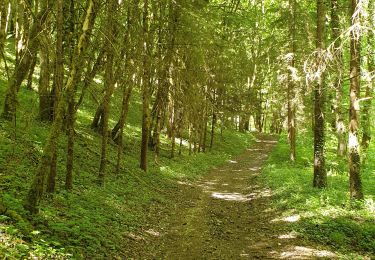 Trail Walking Chaumont - Chaumont centre-Verbiesles-Ville aux bois-Chaumont - Photo