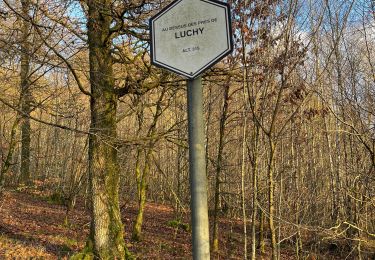 Tour Wandern Bertrix - Champs des chenets - Photo