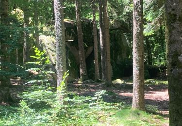Trail Walking Pradelles - Etape 4 GR70 Pradelles - les hauts de Cheylard  - Photo