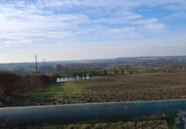 Trail Walking Wignehies - Wignehies Points de vue et paysage - Photo