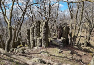 Tocht Te voet Liběšice - [Ž] Liběšice - Sedlo (pod vrcholem) - Photo