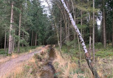 Excursión A pie Roetgen - Hahner Straße Rundweg A2 - Photo