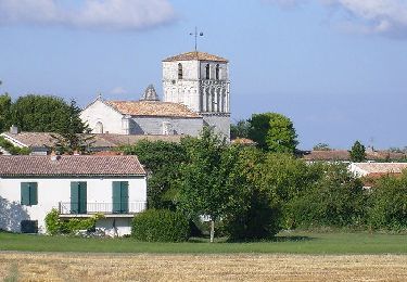 Excursión A pie Saint-Sulpice-de-Royan - St Sulpice de Royan 17  (9km3) - Photo