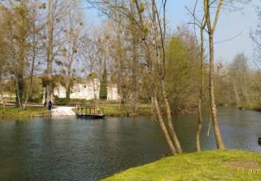 Tocht Te voet Niort - SCIECQ_11km (par bateau à chaîne) - Photo