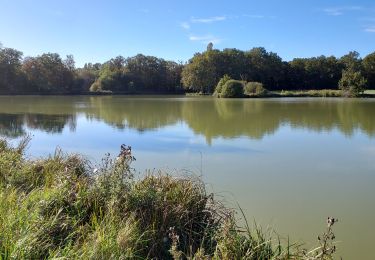 Trail Walking Domats - Domats projet 231002 - Photo