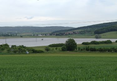 Tocht Te voet Büdingen - Büdingen-Stockheim Weg - Photo