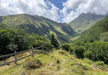 Trail Walking Aulon - J10-Aulon fait - Photo