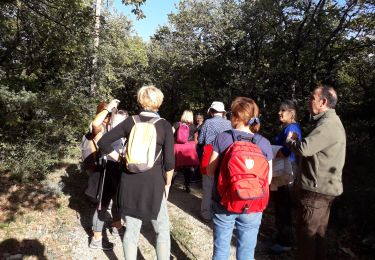 Tocht Stappen Valaurie - gim Valaurie  - Photo