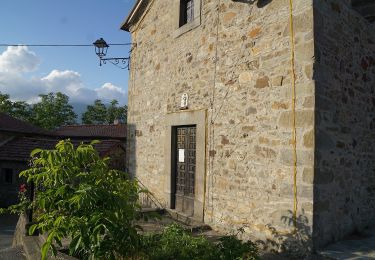 Trail On foot Minucciano - Garfagnana Trekking - Tappa 5 - Photo