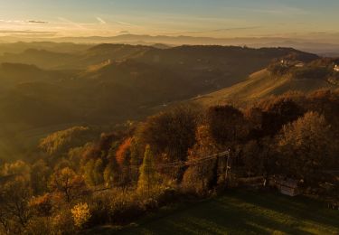 Randonnée A pied Ehrenhausen an der Weinstraße - Natur-Kultur-Archäologie-Weg - Photo