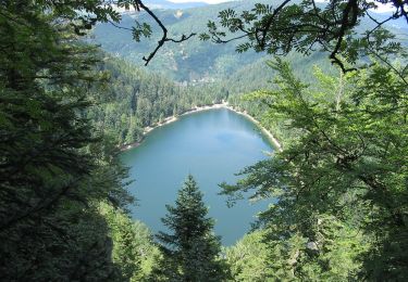 Randonnée A pied La Bresse - Circuit de la Roche du Lac - Photo