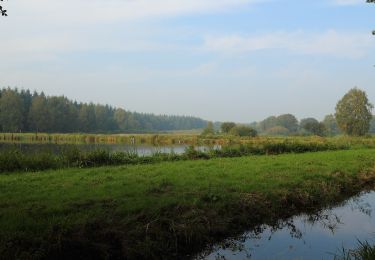 Randonnée A pied Cloppenburg - Brunnenweg (Hoheging) - Photo