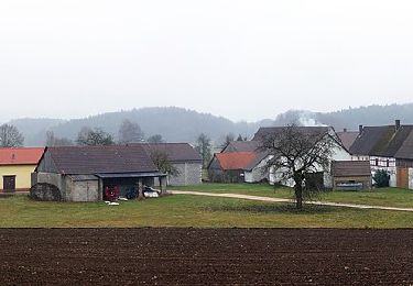 Trail On foot Betzenstein - Rundweg Illafeld - Photo