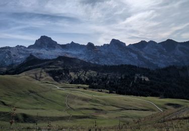 Trail Walking Le Grand-Bornand - Chinaillon 2024 - Photo