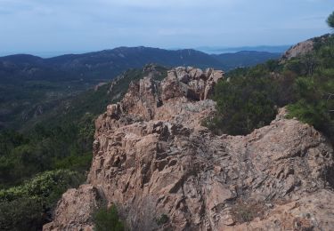 Trail Walking Saint-Raphaël - Belle Barbe - Pic D'Aurel - Photo