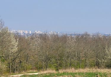 Tour Wandern Verrières-le-Buisson - Boucle autour de Verrières le Buisson - Photo